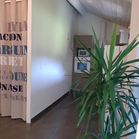 Hébergement de vacances Maison D'amis Salles (Gironde)